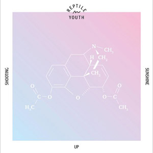 Disco Shooting Up Sunshine de Reptile Youth