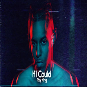 Disco If I Could de Rey King