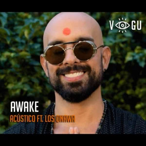 Disco Awake de Robert Vogu