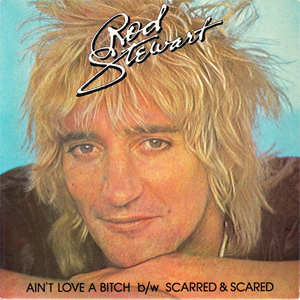 Disco Ain't Love A Bitch de Rod Stewart