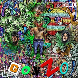 Disco Gonzo de Ruddi Nizz