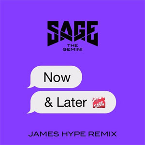 Disco Now and Later (James Hype Remix) de Sage The Gemini