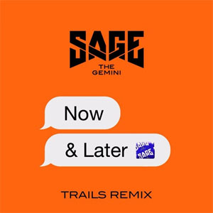 Disco Now and Later (TRAILS Remix) de Sage The Gemini