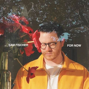 Disco For Now de Sam Fischer