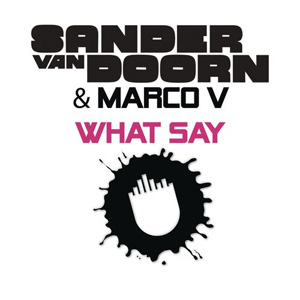 Disco What Say de Sander Van Doorn