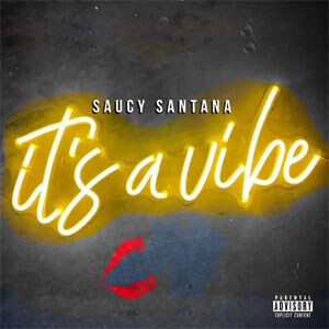 Disco It's a Vibe de Saucy Santana