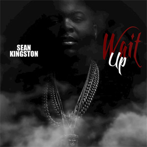 Disco Wait Up de Sean Kingston