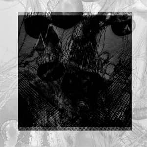 Disco Digital Underground de Sehemyre