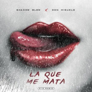 Disco La Que Me Mata de Shadow Blow