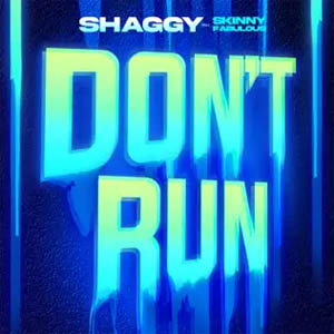 Disco Don't Run  de Shaggy