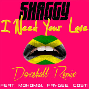 Disco I Need Your Love (Dancehall Remix) de Shaggy