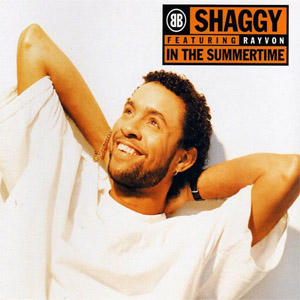 Disco In The Summertime (single) de Shaggy