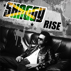 Disco Rise de Shaggy