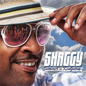 Disco Summer In Kingston de Shaggy
