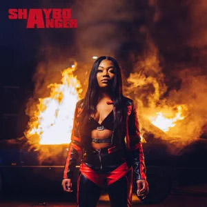 Disco Anger de Shaybo