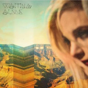 Disco Waiting Alone de Shiny Toy Guns