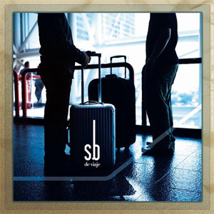 Disco De Viaje de Sin Bandera