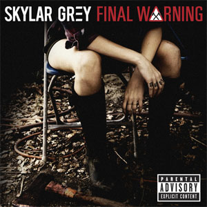 Disco Final Warning de Skylar Grey