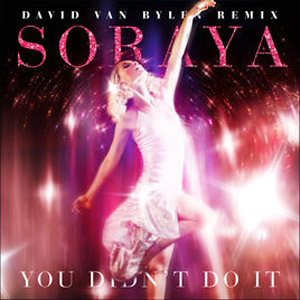 Disco You Didn't Do It (David Van Bylen Day Remix)  de Soraya Arnelas