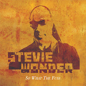 Disco So What The Fuss de Stevie Wonder