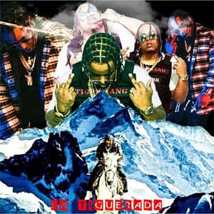 Disco La Tiguerada de Tali Goya