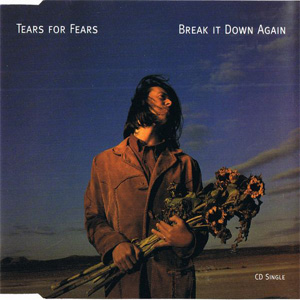 Disco Break It Down Again de Tears for Fears
