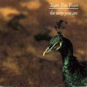 Disco The Way You Are de Tears for Fears