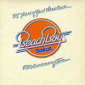 Disco 25 Years Of Good Vibrations de The Beach Boys