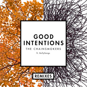 Disco Good Intentions (Remixes) de The Chainsmokers