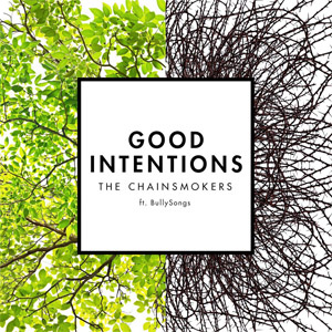 Disco Good Intentions de The Chainsmokers