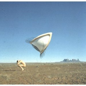 Disco Bury The Hatchet de The Cranberries