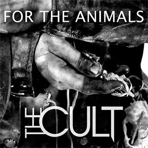 Disco For The Animals de The Cult