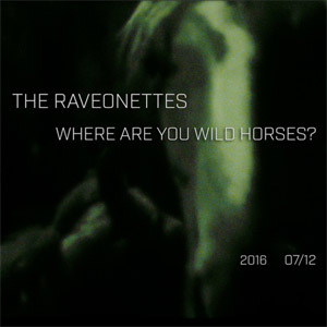 Disco Where Are You Wild Horses de The Raveonettes