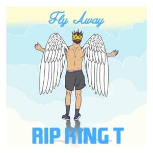 Disco Fly Away (RIP King T) de Tones And I