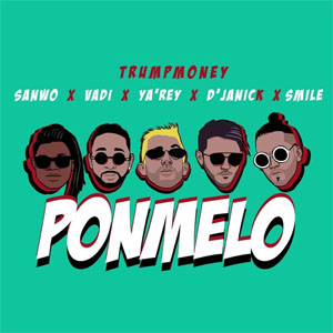 Disco Pónmelo de TrumpMoney