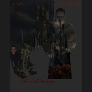 Disco Let Me In de Vein