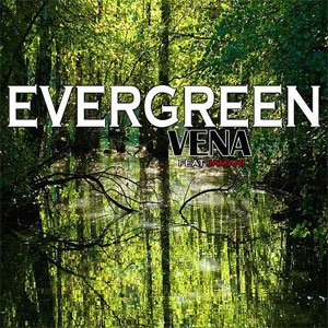Disco Evergreen de Vena