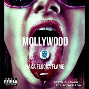 Disco Mollywood de Waka Flocka Flame
