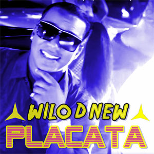 Disco Placata de Wilo D' New