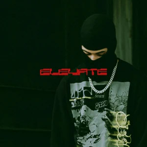 Disco Elevate de Yulian